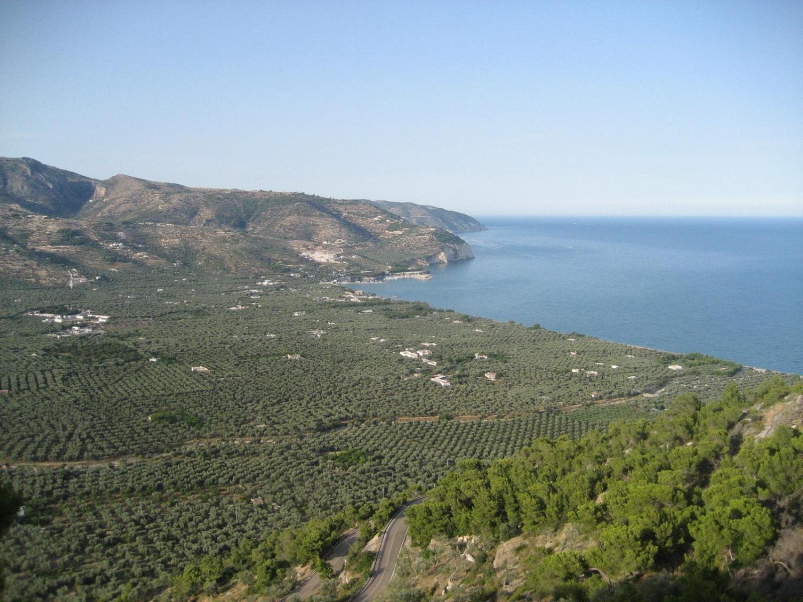 Mattinata Camping Exterior foto